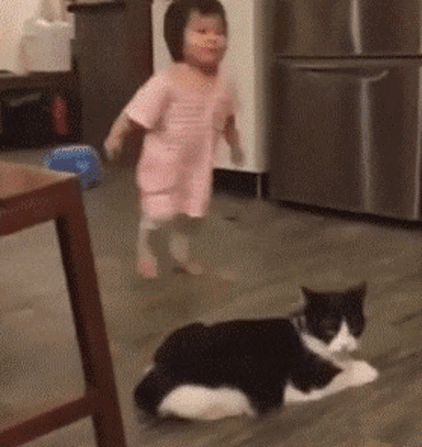 a little girl is running towards a black and white cat
