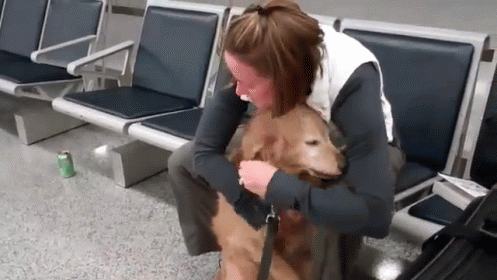 Reunions Are Great GIF - Solider Dog Crying Dog GIFs