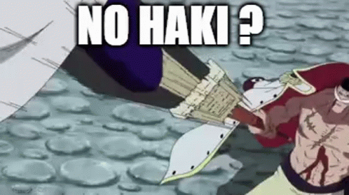 No Haki No Haki Aojiji GIF - No Haki No Haki Aojiji Aokiji Ice GIFs