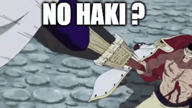 a cartoon of a man holding a sword with the words `` no haki '' written above him .