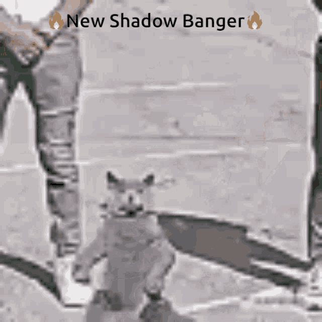 Shadow New Shado Banger GIF - Shadow Shado New Shado Banger GIFs
