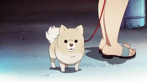 Anime Dog GIF - Anime Dog Pomeranian GIFs