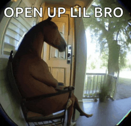 a horse is sitting in a rocking chair with the words open up lil bro behind it