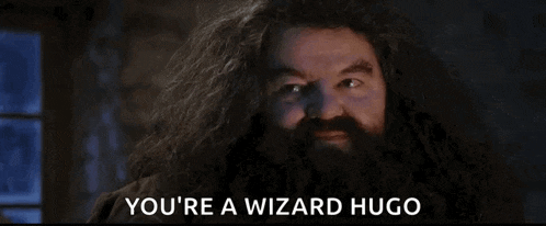 a man with long hair and a beard is saying `` you 're a wizard hugo ''
