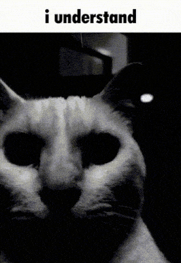 Uncanny Cat I Understand GIF - Uncanny Cat I Understand Robert Helpmann GIFs