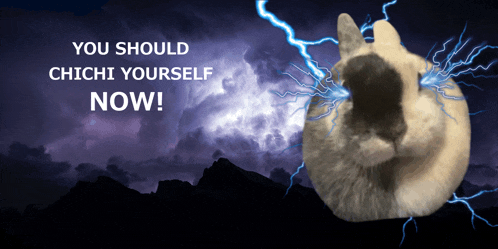a picture of a rabbit with lightning and the words " you should chichi yourself now " below it