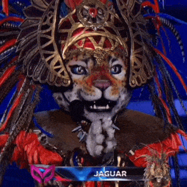 a jaguar costume with feathers and a mask on
