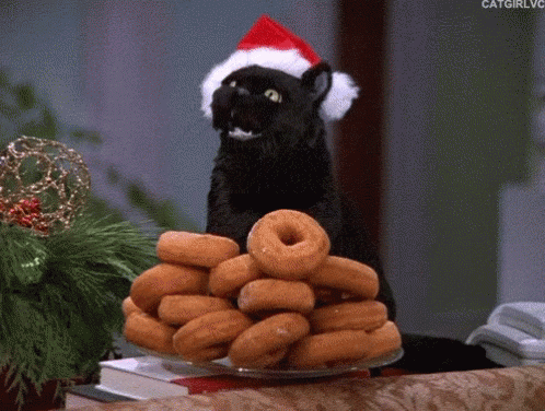 Salem Christmas Cat GIF - Salem Christmas Cat Donuts GIFs