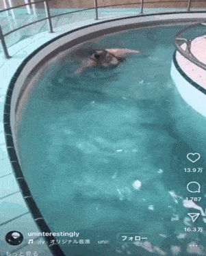 a video of a person swimming in a pool with the words uninterestingly at the top