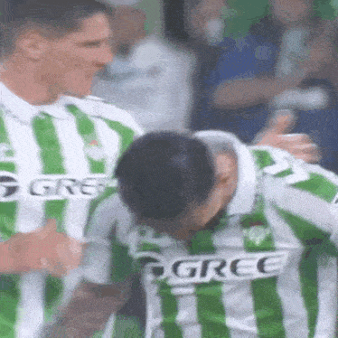 a soccer player in a green and white striped jersey is being hugged by another player .