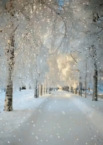 Snow Light GIF - Snow Light GIFs