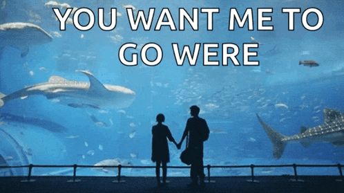 a man and woman holding hands in front of an aquarium with the words " you want me to go were "