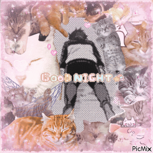 a collage of cats with the words good night written in the middle