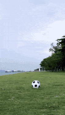 a black and white soccer ball is on the grass near the ocean