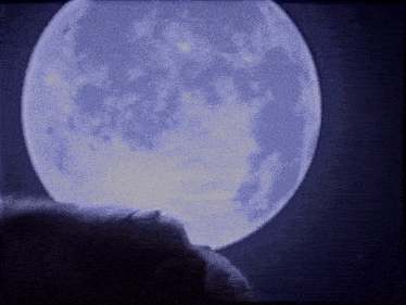a person is standing in front of a full moon in a dark sky .