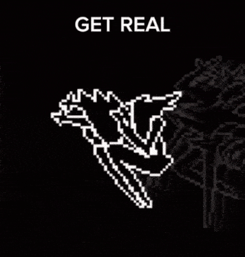 a pixel art drawing of a bird with the words get real above it