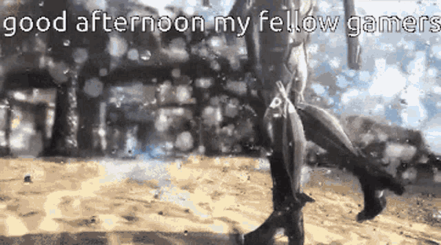 a video game character is walking in the sand with the words good afternoon my fellow gamers below him