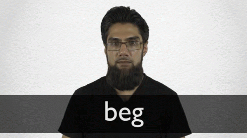 Beg GIF - Beg GIFs