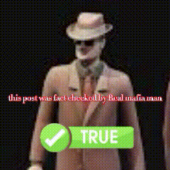 a man in a suit and hat is next to a green check mark that says true