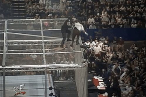 Undertaker Mankind GIF - Undertaker Mankind Hell In A Cell GIFs