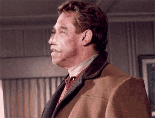a man in a brown jacket and tie is standing in a room .