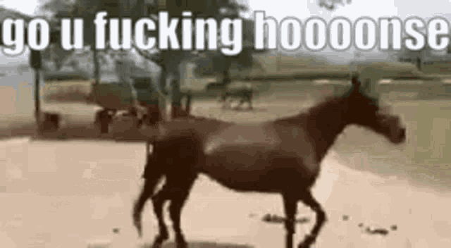 a horse is walking on a dirt road with the words `` go u fucking hooons '' written on it .