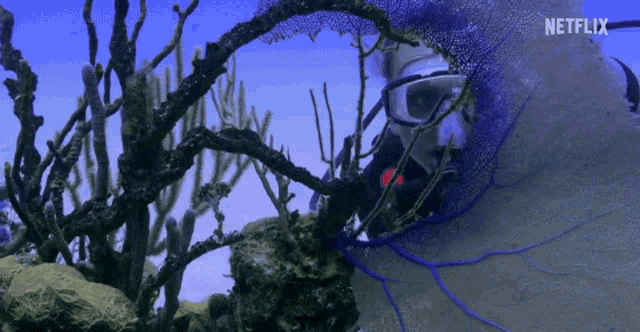 a scuba diver looks at a coral reef with a netflix logo in the corner