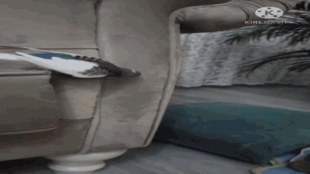 a person is sitting on a couch with the words " mavis ucuyon mavis " written on the bottom