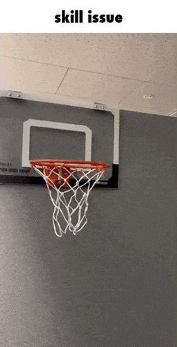 a picture of a basketball hoop with the words skill issue on the bottom