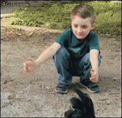 a young boy squatting down next to a black cat with a 4gifs.com watermark on the bottom right