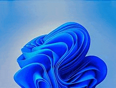 a close up of a blue flower against a blue background .