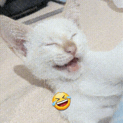 a pixelated image of a cat laughing with tears coming out of its eyes ..
