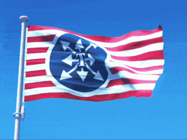 a red white and blue flag with the letter t in the center