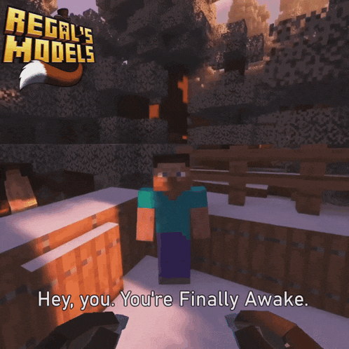 a screenshot of a video game with the words hey you you 're finally awake at the top