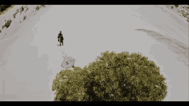 a person standing on top of a snow covered hill with a tree in the foreground