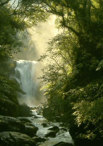 Waterfall For Gdeyes GIF - Waterfall For Gdeyes GIFs