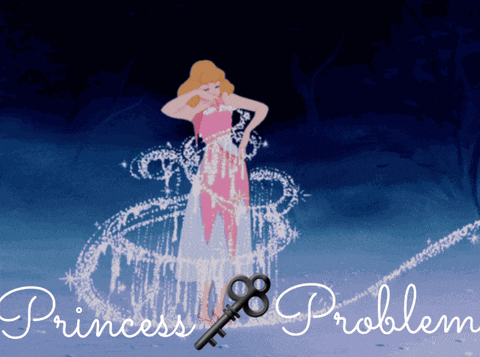 a picture of cinderella with the words " princess problem " underneath her