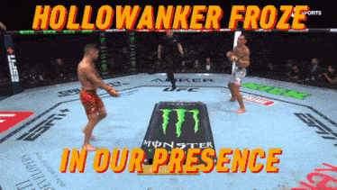 two fighters in a ring with the words " hollowanker froze in our presence " above them