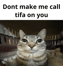 a cat is looking at the camera with the words `` dont make me call tifa on you '' written above it .
