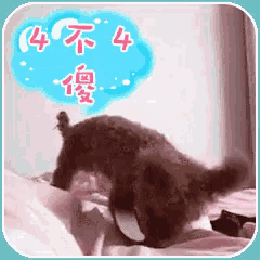 a dog is laying on a bed with a thought bubble that says ' 4 '