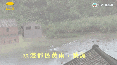 a tv busa advertisement shows a flooded area with a tree in the middle