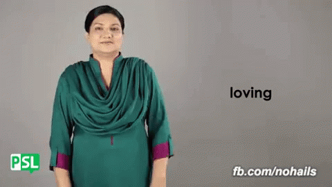 Loveing Pakistan GIF - Loveing Love Pakistan GIFs