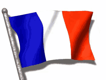 a french flag waving in the wind on a pole