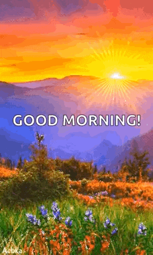 a painting of a sunset over a field of flowers with the words `` good morning ! ''