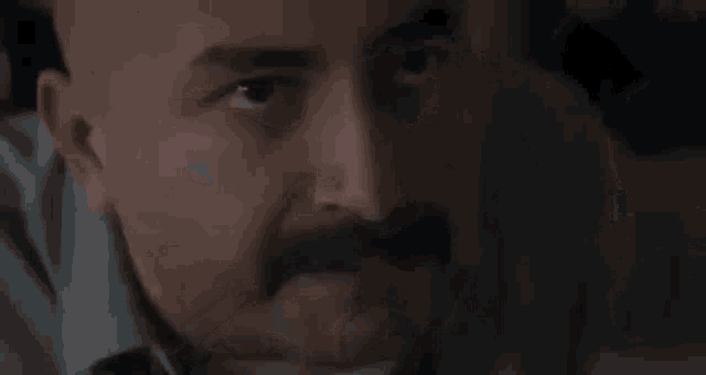 a close up of a man 's face with a beard and mustache .