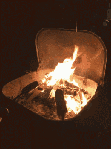 two hot dogs are cooking over a fire