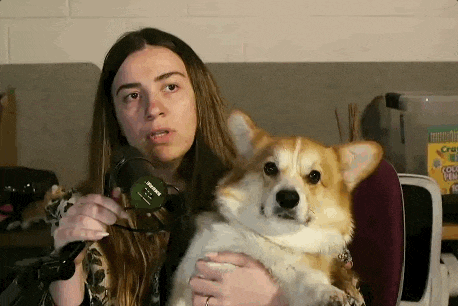 a woman is holding a corgi dog while wearing headphones