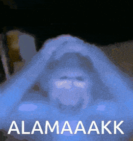 a picture of a monkey with the words " alamaakk " above it