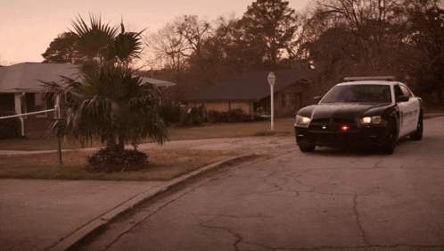 a police car with the word sheriff on the back of it