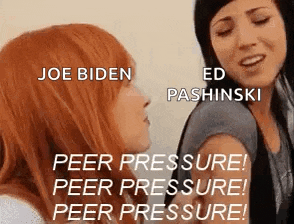 joe biden and ed pashinski are talking to each other about peer pressure .